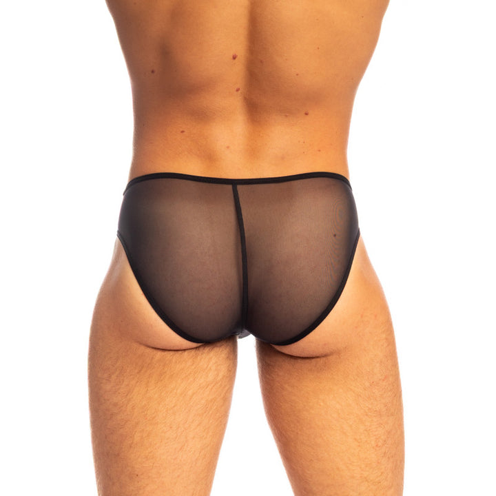 Beyond Invisible - V Briefs