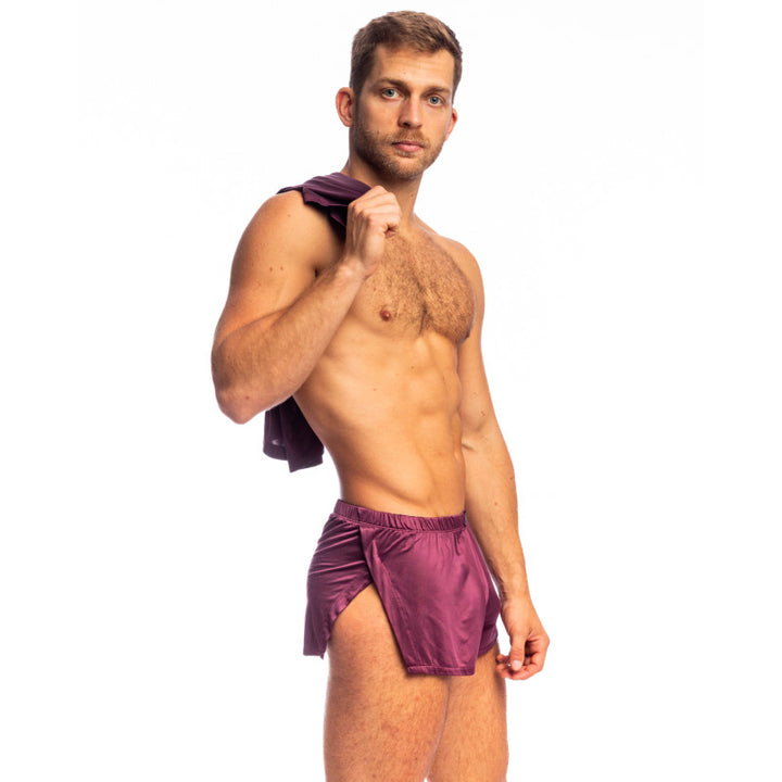 Silky Touch - Aero Shorts