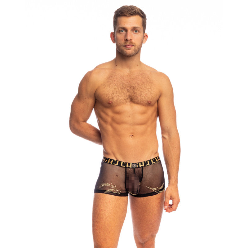 Epi D'or - Hipster Pushup