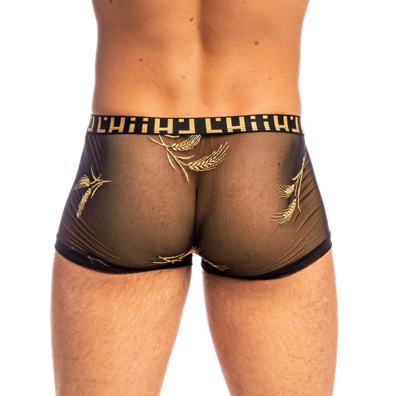 Epi D'or - Hipster Pushup